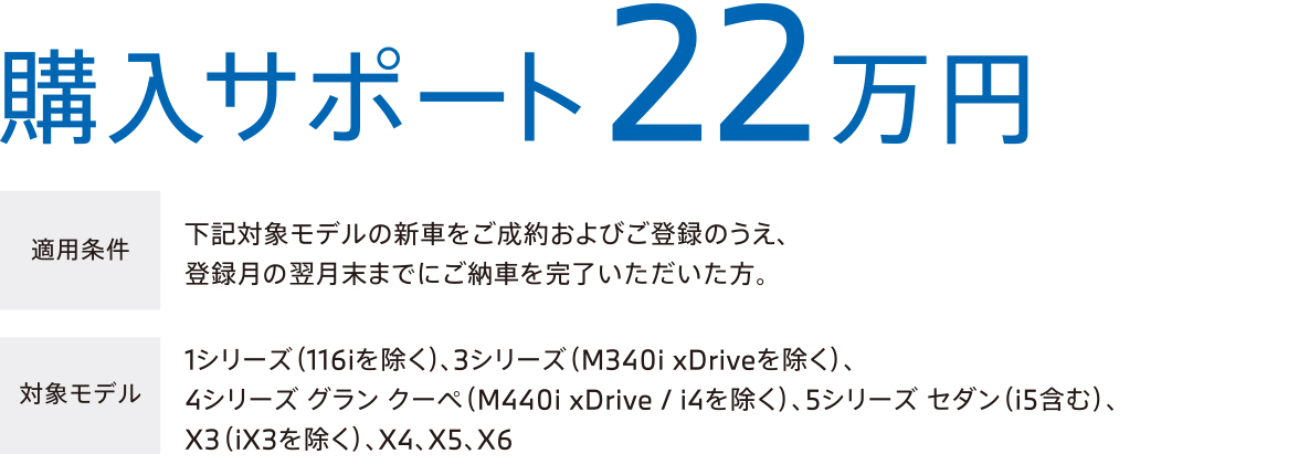 購入サポート22万円